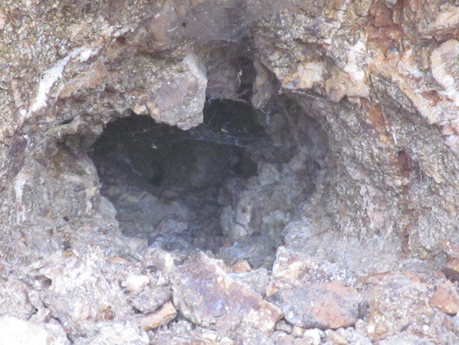Mining Claim in Milford, UT - BLUEBELL