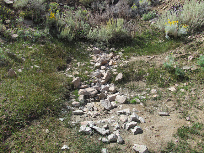 Mining Claim in Milford, UT - BLUEBELL