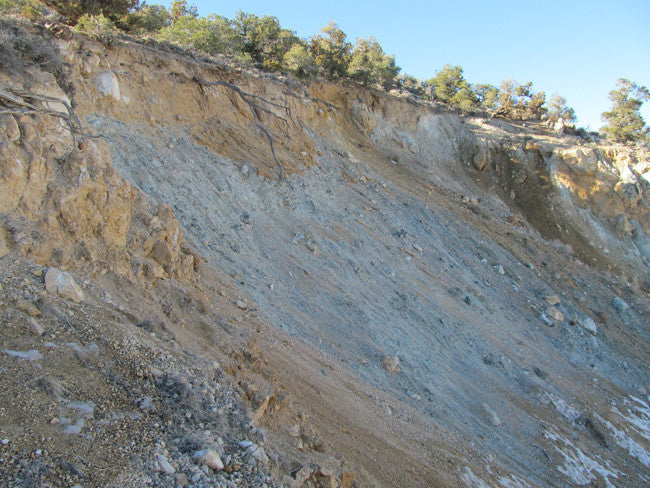 CYPRESS Lode Mining Claim, Palmetto, Esmeralda County, Nevada