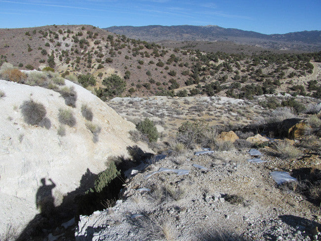 CYPRESS Lode Mining Claim, Palmetto, Esmeralda County, Nevada