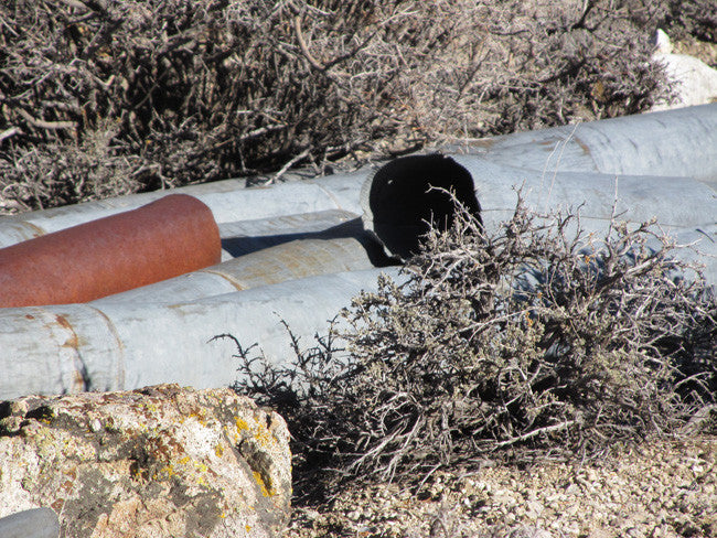 CYPRESS Lode Mining Claim, Palmetto, Esmeralda County, Nevada