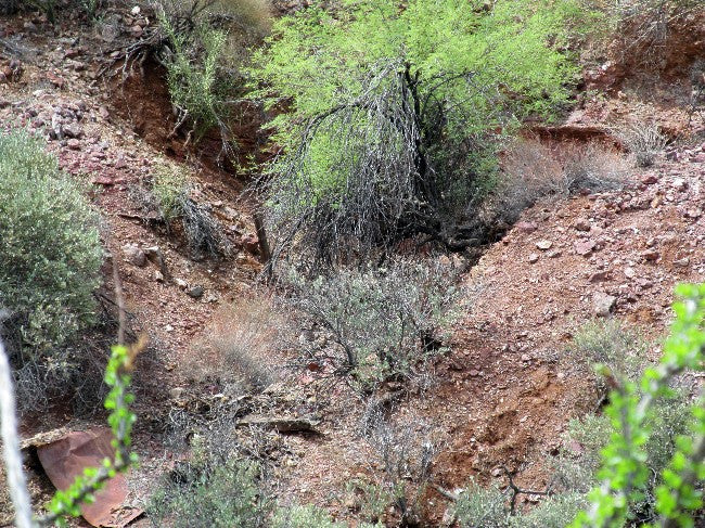 CAMPO Lode Mining Claim, Wickenburg District, Maricopa County, Arizona