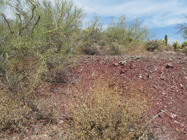 CAMPO Lode Mining Claim, Wickenburg District, Maricopa County, Arizona