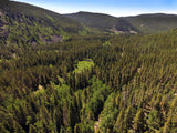 AURELIAN GOLD Placer Mining Claim, Gold Creek, Gunnison County, Colorado