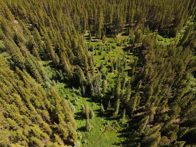 AURELIAN GOLD Placer Mining Claim, Gold Creek, Gunnison County, Colorado