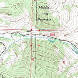 BONNIES GOLD Placer Mining Claim, Thief Creek, Beaverhead County, Montana