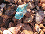 CACTUS KING, Lode Mining Claim, Rawhide/Cleopatra District, Mohave County, AZ