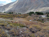 AQUA GEM Mine Placer Claim in Colorado