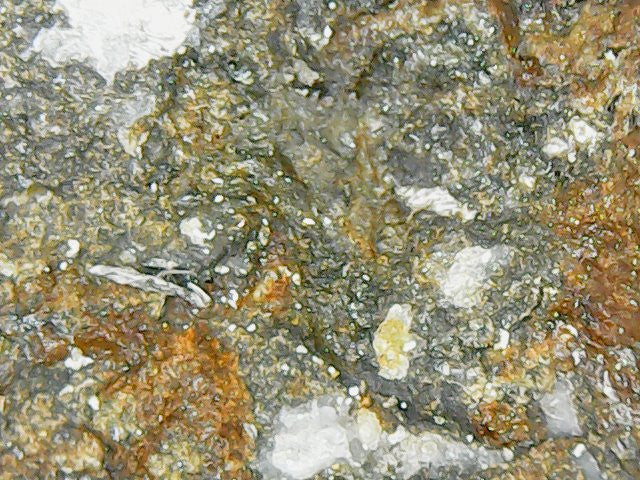 CHAPO MINE Lode Mining Claim, Apache No. 2, Hidalgo County, New Mexico