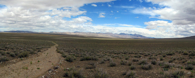 Middlegate Historic Gold Mine with massive Tailings