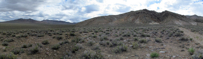 Middlegate Historic Gold Mine with massive Tailings