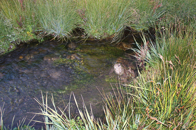 COMYNA GOLD Placer Mining Claim, Taylor Creek, Beaverhead County, Montana