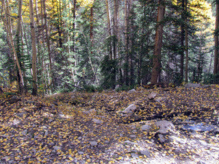 BLUE MOON Mine Placer Claim in Colorado, Mt Antero