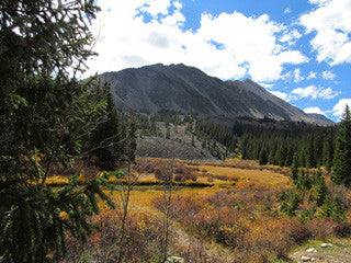 BLUE MOON Mine Placer Claim in Colorado, Mt Antero