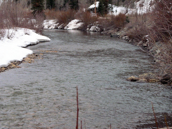 BETTY EYRE GOLD Placer Mining Claim, Dolores River, Dolores County, Colorado