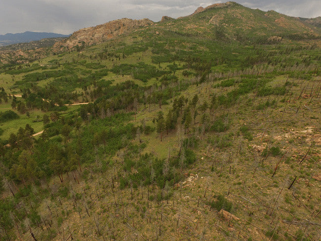 AROLLA Placer Mining Claim, Dorris Topaz, Park County, Colorado