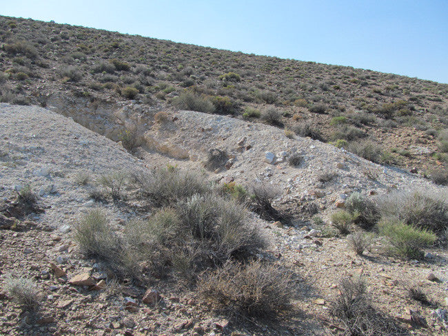JADE PRINCESS Lode Mining Claim, Beatty/Bare Mountain District, Nye County, Nevada