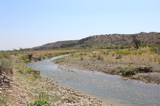 COLUMBIAN GOLD Placer Mining Claim, Cottonwood Creek, Washakie County, Wyoming