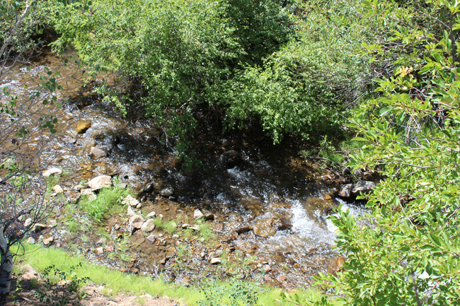 HAPPY FORTUNE GOLD Placer Mining Claim, Indian Creek, Beaver County, Utah