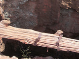 GREY BEARDS Lode Mining Claim, Aguila, Maricopa County, Arizona