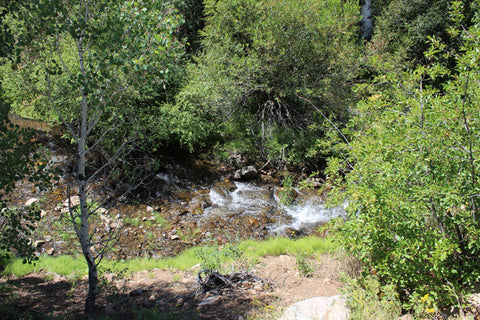 HAPPY FORTUNE GOLD Placer Mining Claim, Indian Creek, Beaver County, Utah