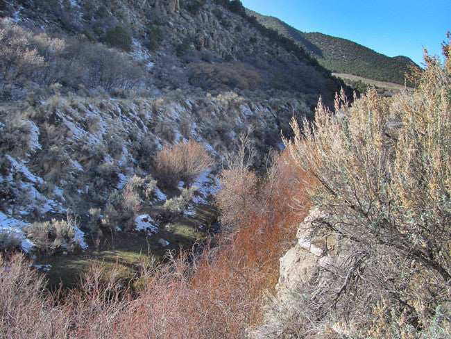 HARMONY MINE, Placer Claim, Pinto Creek, Washington County, Utah
