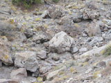 BOZEMAN MINE, Placer Mining Claim, Topaz Mtn, Juab County, Utah