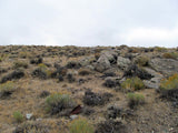 DUCK BONE JADE, Placer Mining Claim, Big Horn Jade, Fremont County, Wyoming