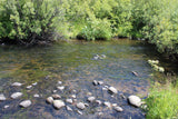 ASARCO GOLD Placer Mining Claim, Squirrel Creek, Fremont County, Idaho
