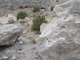 BOZEMAN MINE, Placer Mining Claim, Topaz Mtn, Juab County, Utah