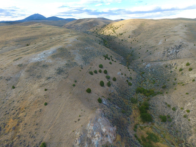 CIARA GOLD Placer Mining Claim, Taylor Creek, Beaverhead County, Montana