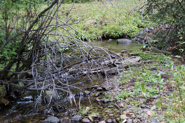 AGRICOLA GOLD Placer Mining Claim, French Creek, Beaverhead County, Montana