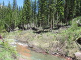KING SOLOMON GOLD Placer Mining Claim, S. Fork Mineral Creek, San Juan County, Colorado