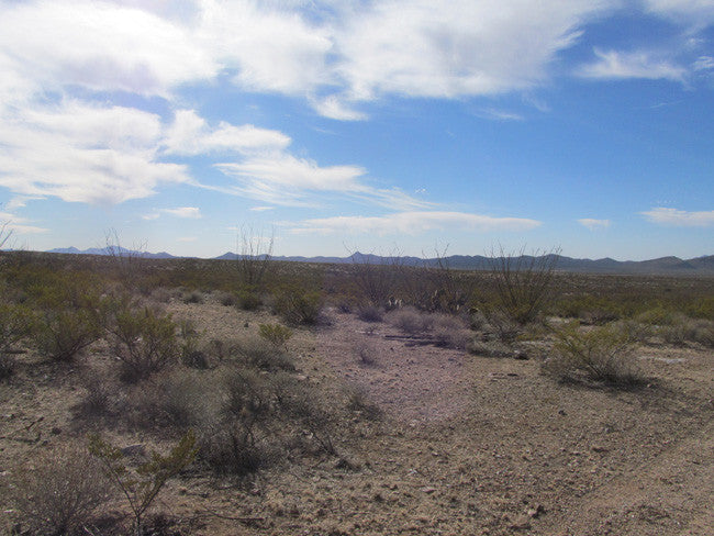 CHAPO MINE Lode Mining Claim, Apache No. 2, Hidalgo County, New Mexico