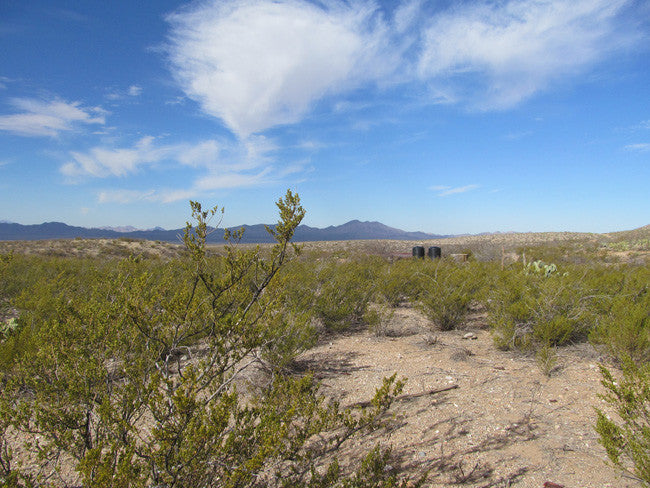 CHAPO MINE Lode Mining Claim, Apache No. 2, Hidalgo County, New Mexico