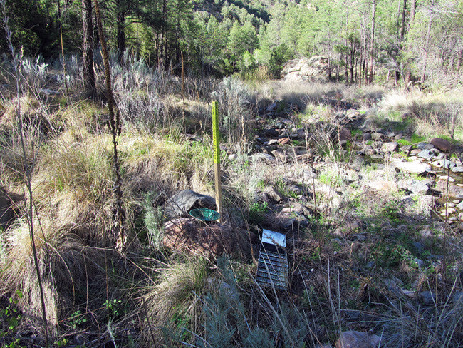 APLITE GOLD, Placer Mining Claim, Bear Creek, Grant County, New Mexico