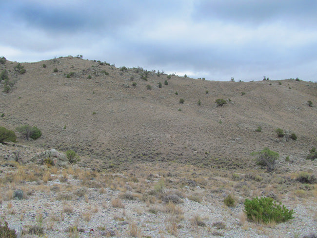 BIG WIND Placer Mining Claim, Big Horn Jade, Fremont County, Wyoming