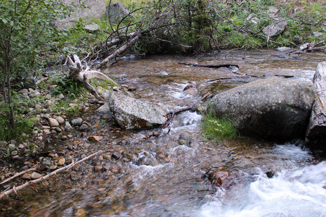 CORDUROY GOLD Placer Mining Claim, S. Meadow Creek, Madison County, Montana