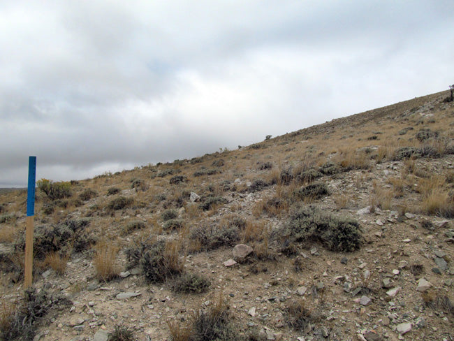 BIG WIND Placer Mining Claim, Big Horn Jade, Fremont County, Wyoming