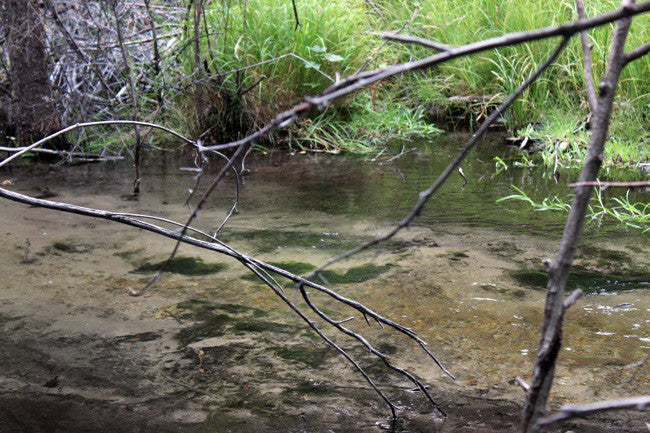 BONNIES GOLD Placer Mining Claim, Thief Creek, Beaverhead County, Montana