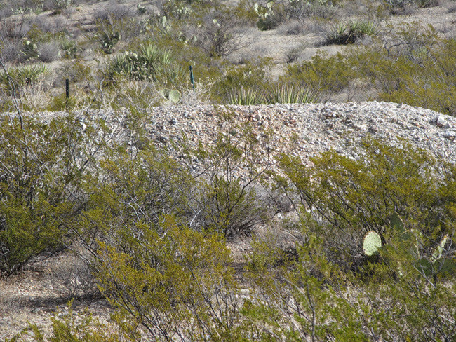 CHAPO MINE Lode Mining Claim, Apache No. 2, Hidalgo County, New Mexico