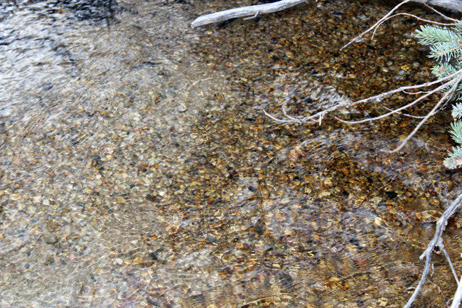 BONNIES GOLD Placer Mining Claim, Thief Creek, Beaverhead County, Montana