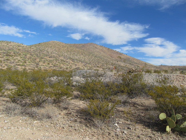 CHAPO MINE Lode Mining Claim, Apache No. 2, Hidalgo County, New Mexico