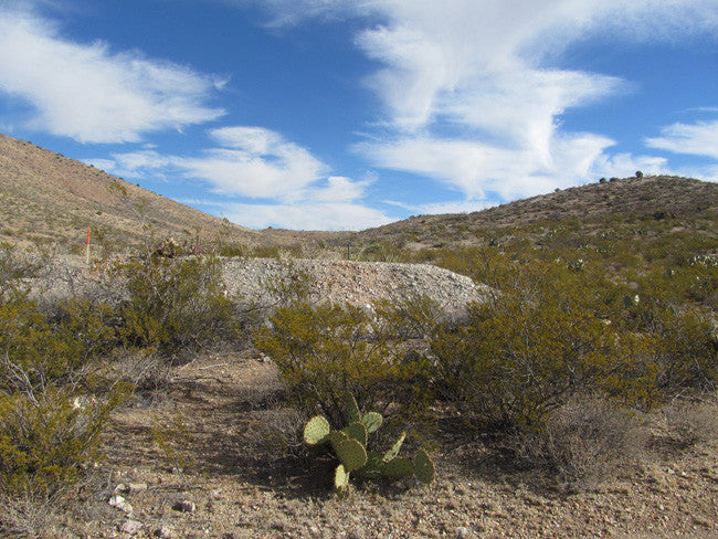 CHAPO MINE Lode Mining Claim, Apache No. 2, Hidalgo County, New Mexico