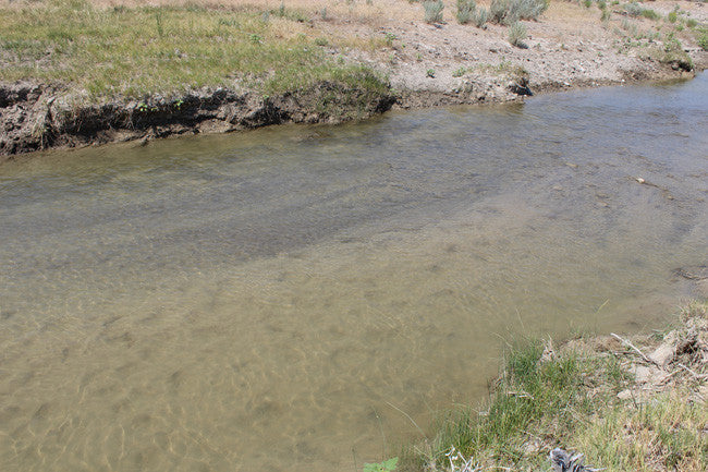 ALCOVA GOLD Placer Mining Claim, Cottonwood Creek, Washakie County, Wyoming