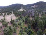 BONNIES GOLD Placer Mining Claim, Thief Creek, Beaverhead County, Montana