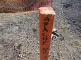 CHAPO MINE Lode Mining Claim, Apache No. 2, Hidalgo County, New Mexico