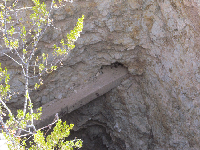 CHAPO MINE Lode Mining Claim, Apache No. 2, Hidalgo County, New Mexico