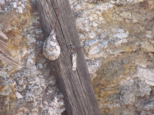 CHAPO MINE Lode Mining Claim, Apache No. 2, Hidalgo County, New Mexico