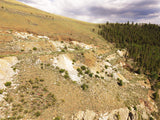 BROWN DERBY 11, Lode Mining Claim, Quartz Creek Pegmatite, Gunnison County, Colorado
